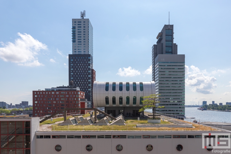 De dak van Lad Palmas op de Wilhelminapier in Rotterdam