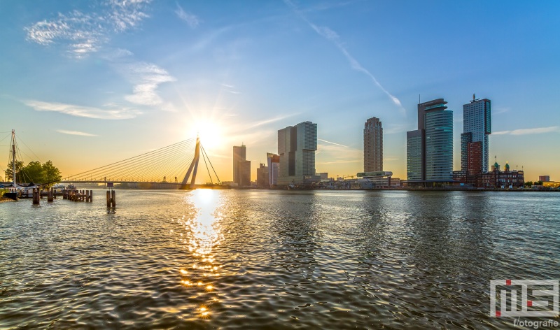 Te Koop | De zonsopkomst boven de Erasmusbrug in Rotterdam