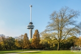 Te Koop | Herfst in Het Park in Rotterdam