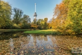 Te Koop | Herfst in Het Park in Rotterdam