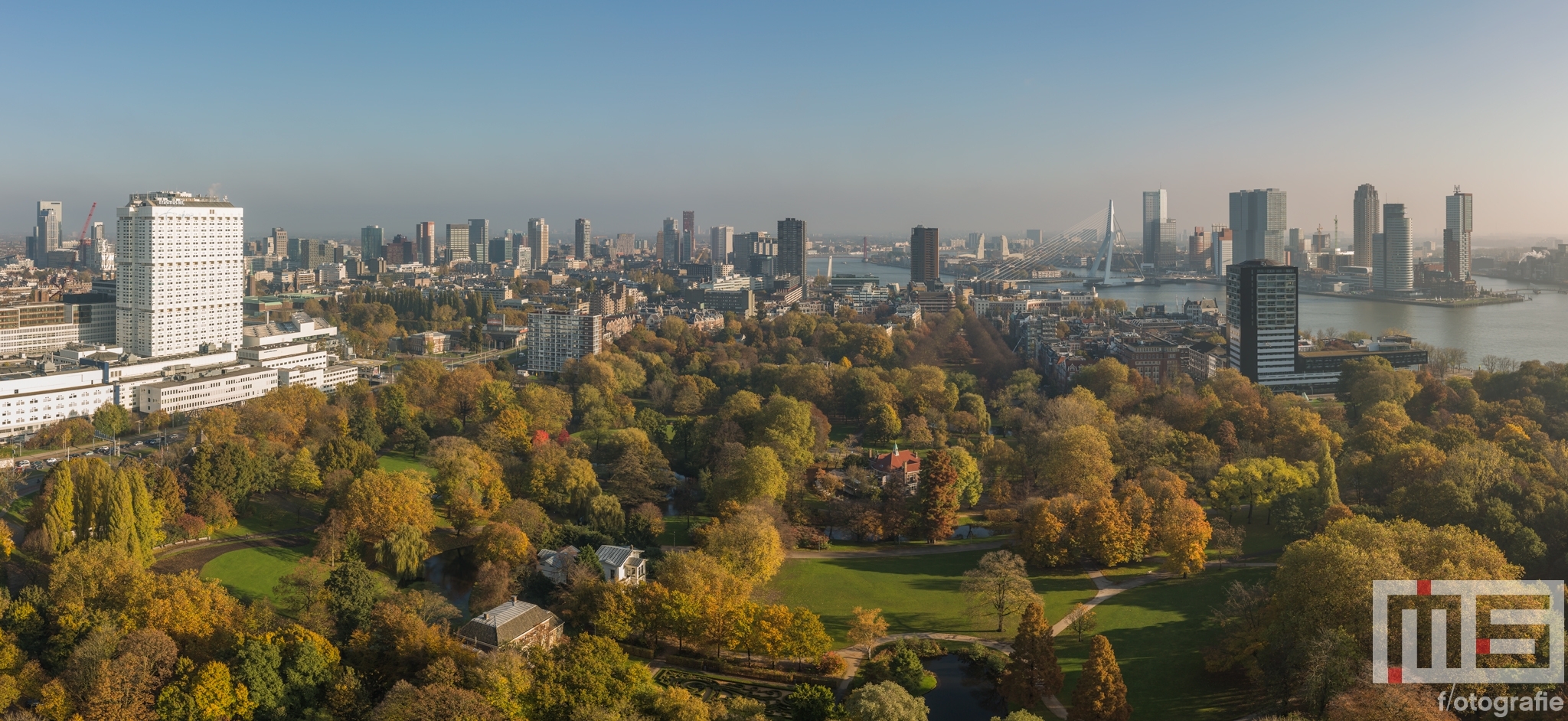 Te Koop | Herfst in Het Park in Rotterdam