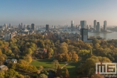 Te Koop | Herfst in Het Park in Rotterdam