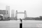 Te Koop | De Hef en het Noordereiland in Rotterdam in zwart/wit