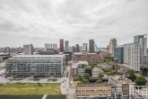 Het uitzicht vanaf de Laurenskerk in Rotterdam tijdens de Rotterdamse Dakendagen