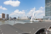 Het uitzicht op de Cruise Terminal Rotterdam en de Erasmusbrug in Rotterdam
