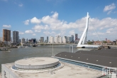 Het uitzicht op de Cruise Terminal Rotterdam en de Erasmusbrug in Rotterdam