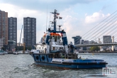 De sleepboot Faiplay28 met de Erasmusbrug in Rotterdam tijdens de Wereldhavendagen