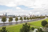 De skyline van Rotterdam tijdens de Open Monumentendag