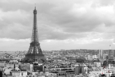 Te Koop | De Eiffeltoren in Parijs in zwart/wit