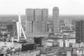 De skyline van Rotterdam met de Wilhelminapier en de Erasmusbrug