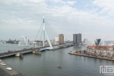 De start van de NN Marathon Rotterdam aan de voet van de Erasmusbrug in Rotterdam