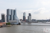 De Rotterdam en de Erasmusbrug in Rotterdam tijdens de Rotterdamse Dakendagen