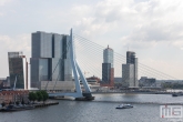 De Rotterdam en de Erasmusbrug in Rotterdam tijdens de Rotterdamse Dakendagen