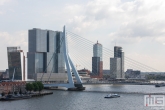 De Rotterdam en de Erasmusbrug in Rotterdam tijdens de Rotterdamse Dakendagen