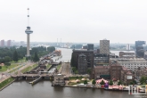 Het uitzicht vanaf het GEB Gebouw in Rotterdam tijdens de Rotterdamse Dakendagen