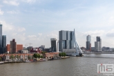Te Koop | De Maastoren en de Erasmusbrug in Rotterdam tijdens de Rotterdamse Dakendagen