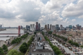 De skyline van Rotterdam tijdens de Rotterdamse Dakendagen