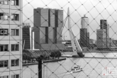De uitzicht op de Erasmusbrug in Rotterdam tijdens de Dag van de Architectuur