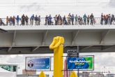 De bezoekers van de Wereldhavendagen op de Erasmusbrug in Rotterdam
