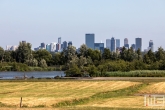 Het uitzicht op de de skyline van Rotterdam vanaf de Ackerdijkse Plassen