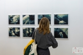 Een achttal kunstzinnige sumoworstelaar in lijst tijdens Art Rotterdam in de Van Nelle Fabriek in Rotterdam