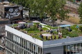 Het natuurdak van Dakakkers op het Schieblock in Rotterdam-Centrum