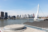 De Erasmusbrug met de Cruise Port Rotterdam in Rotterdam