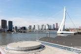 De Erasmusbrug met de Cruise Port Rotterdam in Rotterdam