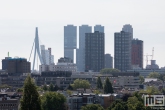 De skyline van Rotterdam met de Hoge Heren en de Erasmusbrug