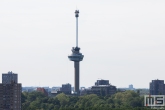 De Euromast en Het Park in Rotterdam met abseilers vanaf de toren