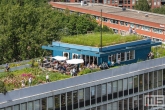Het groene dak van Dakakkers op het Schieblock in Rotterdam