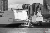 De P&O Ferries en sleepboot Union7 tijdens de Wereldhavendagen 2019 in Rotterdam