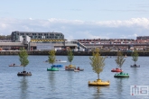 De Rijnhaven tijdens een demonstratie op de Wereldhavendagen 2019 in Rotterdam