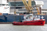 De P&O Ferries en sleepboot Union7 tijdens de Wereldhavendagen 2019 in Rotterdam