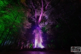 De Grote Schijn in het Kralingse Bos in Rotterdam