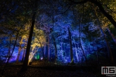 De Grote Schijn in het Kralingse Bos in Rotterdam
