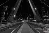 Te Koop | De Erasmusbrug in Rotterdam vanuit een fantastisch standpunt