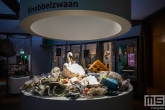 Het Natuurhistorisch Museum in Rotterdam tijdens Museumnacht010 Rotterdam 2020