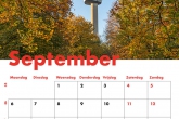 Te Koop | Het Park en de Euromast in Rotterdam in herfstkleuren