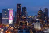 De skyline van Rotterdam by Night met Katja op de Willemswerf