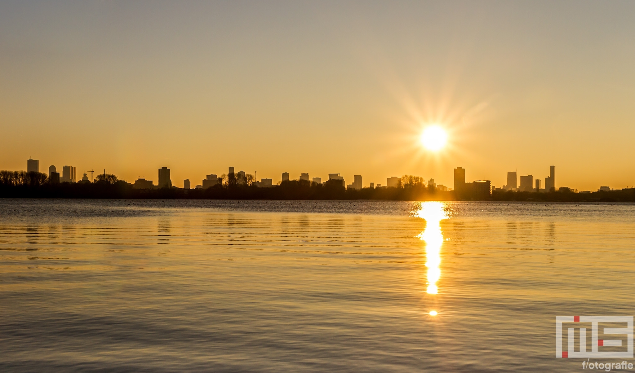 Te Koop | De zonsondergang aan de Kralingseplas in Rotterdam met de skyline op de achtergrond