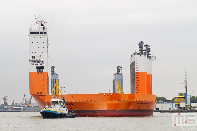 Het half-afzinkbaar transportschip Dockwise Vanguard met sleepboot Thamesbank op de Maas in Rotterdam