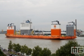 Het half-afzinkbaar transportschip Dockwise Vanguard met sleepboot Thamesbank vanaf de Sluisjesdijk in Rotterdam