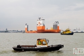 Het half-afzinkbaar transportschip Dockwise Vanguard met de RPA 10 en KRVE 10 in Rotterdam