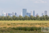 De havenstad Rotterdam vanuit de Ackerdijkseplassen