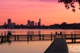 Te Koop | Het uitzicht op de skyline van Rotterdam vanaf de Kralingseplas tijdens zonsondergang