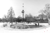 Te Koop | Sneeuw in het Park in Rotterdam met de Euromast