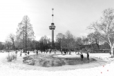 Te Koop | Sneeuw in het Park in Rotterdam met de Euromast