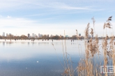 Sneeuw bij de Kralingse Plas in Rotterdam met de skyline op de achtergrond
