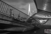 Te Koop | De Erasmusbrug in het stadscentrum van Rotterdam in zwart/wit